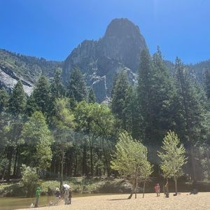 Meet your Posher, Rawan